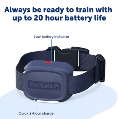 Product  PetSafe Core Trainer Add-A-Dog Collar, Extra Collar for Dog Training Collar with Remote