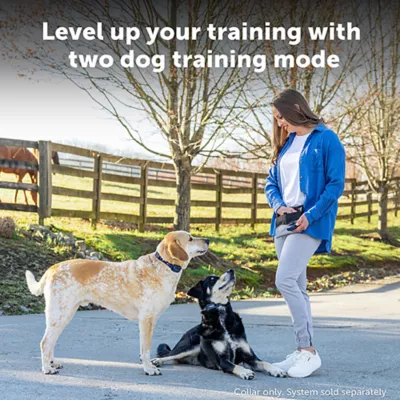 Product PetSafe Pro Trainer Add-A-Dog Collar - Extra Collar for Pro Remote Trainer for 2-Dog Use, Waterproof