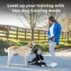 Product PetSafe Pro Trainer Add-A-Dog Collar - Extra Collar for Pro Remote Trainer for 2-Dog Use, Waterproof