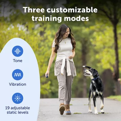 Product PetSafe Pro Trainer Add-A-Dog Collar - Extra Collar for Pro Remote Trainer for 2-Dog Use, Waterproof