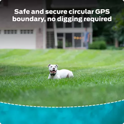 Product Premier Pet GPS Dog Fence Collar - Circular Wireless Boundary - Portable Wireless Dog Fence