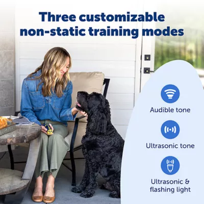 PetSafe Collarless Trainer Ultrasonic Training Tool Handheld