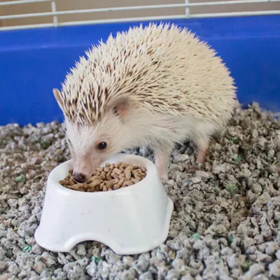 Product Vita Prima Hedgehog Food 1.5 LB