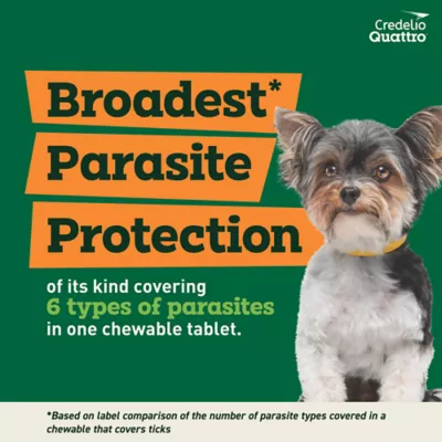 Product Credelio Quattro Chewable Tablets for Dogs - 3.3-6 lbs, Yellow Box