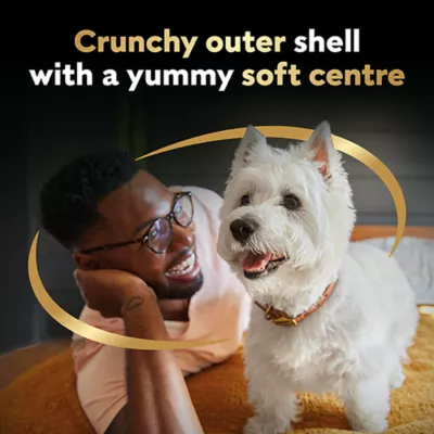 Product Cesar Double Delights Dog Treats For Small Breed Adult Dogs - Filet Mignon Flavour