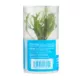 Product Top Fin® Microsorum Tissue Culture Live Aquatic Plant