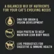 Product Purina Pro Plan All Life Stages Dry Cat Food - Chicken & Rice