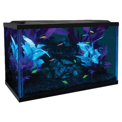 Product GloFish® LED Aquarium Kit
