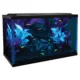 Product GloFish® LED Aquarium Kit