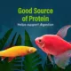 Product GloFish® Daphnia Aquarium Treat