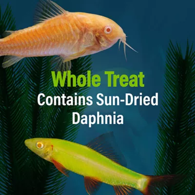 Product GloFish® Daphnia Aquarium Treat