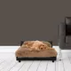 Product Club Nine Pets Roma Elevated Orthopedic Dog Bed