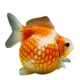 Product Pearlscale Goldfish