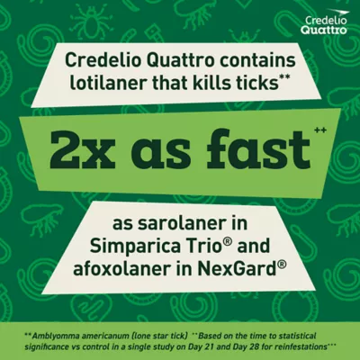 Product Credelio Quattro Chewable Tablets for Dogs - 25.1-50 lbs, Green Box
