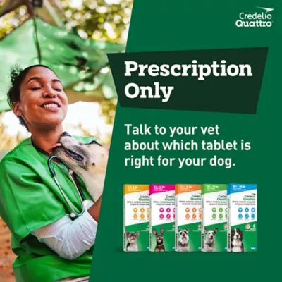 Product Credelio Quattro Chewable Tablets for Dogs - 50.1-100 lbs, Blue Box