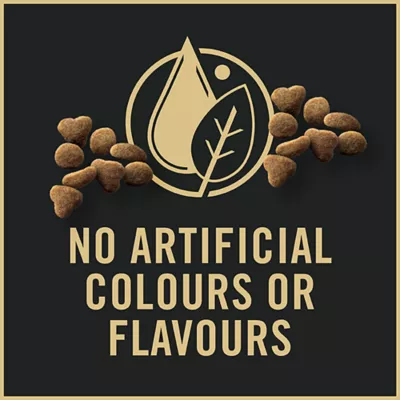 Product Purina Pro Plan Complete Essentials Dry Kitten Food -  Chicken & Rice