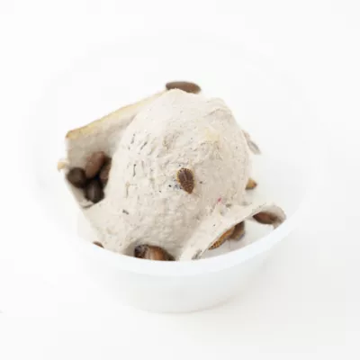 Product Dubia Roach 25 Ct