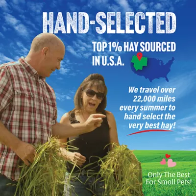Product Small Pet Select 2nd Cutting Perfect Blend Timoithy Hay