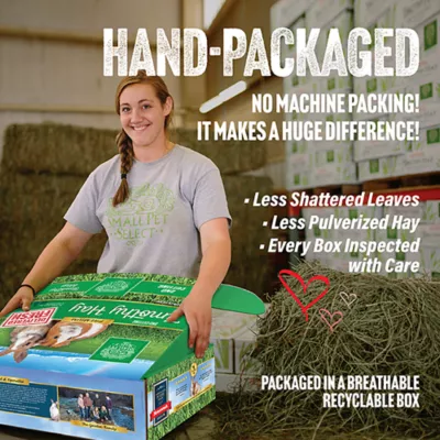 Product Small Pet Select 2nd Cutting Perfect Blend Timoithy Hay