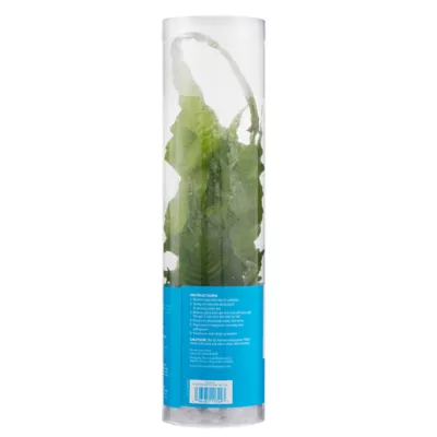 Product Top Fin® Bolbitis Long Tail Live Aquatic Plant