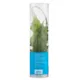 Product Top Fin® Bolbitis Long Tail Live Aquatic Plant