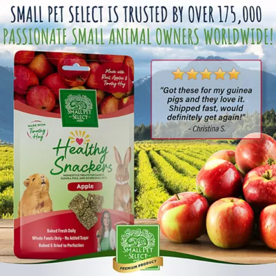 Product Small Pet Select Healthy Snackers - Apple