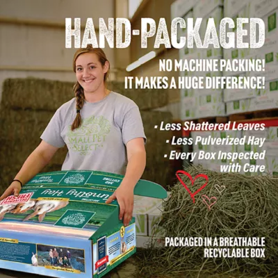 Product Small Pet Select 3rd Cutting Timothy Small Pet Hay