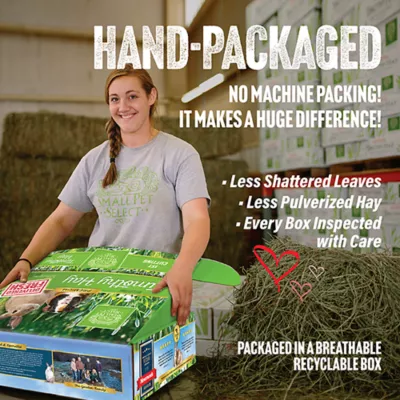 Product Small Pet Select 1st Cut Timothy Hay Small Pet Food