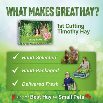 Product Small Pet Select 1st Cut Timothy Hay Small Pet Food