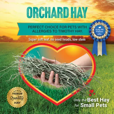 Product Small Pet Select Orchard Hay