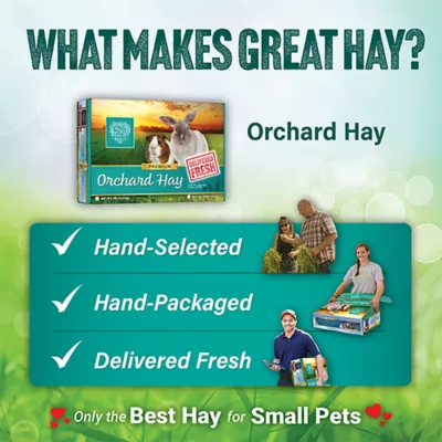 Product Small Pet Select Orchard Hay