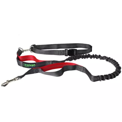 Product Jespet Reflective Dog Leash