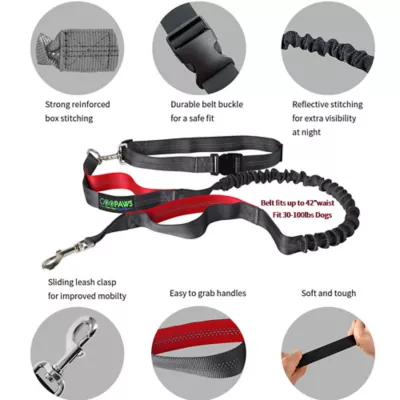 Product Jespet Reflective Dog Leash