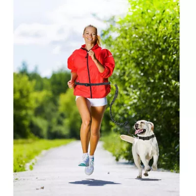 Product Jespet Reflective Dog Leash