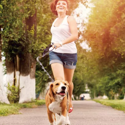 Product Jespet Reflective Dog Leash