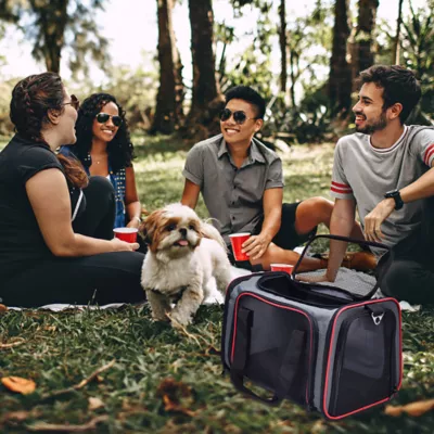 Product Jespet Soft-Sided Pet Carrier