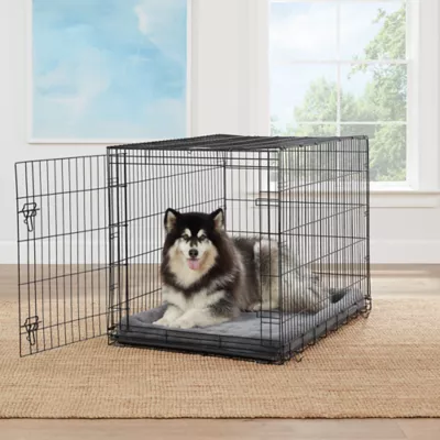 Product Top Paw Single Wire Door Folding Crate