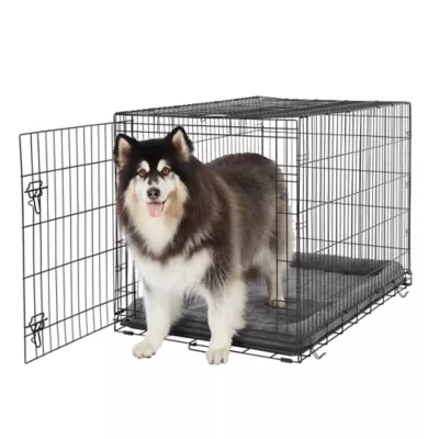 Product Top Paw Single Wire Door Folding Crate