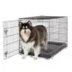 Product Top Paw Single Wire Door Folding Crate