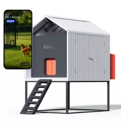 Product The Smart Coop + Base 4-6 Chickens