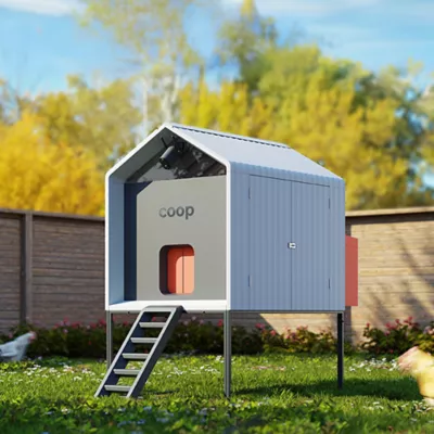 Product The Smart Coop + Base 4-6 Chickens