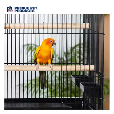 Product Prevue Pet Products Square Roof Parrot Cage in Black