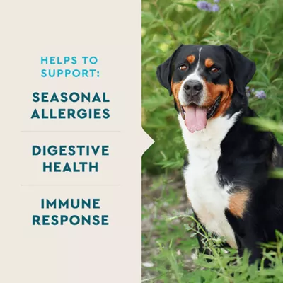 Product VetIQ Allergy Pro+ Supplement for Dog 60 ct