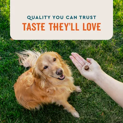 Product VetIQ Allergy Pro+ Supplement for Dog 60 ct