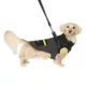 Product Canada Pooch Cool Factor Dog Harness Jacket - Black