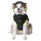 Product Canada Pooch Cool Factor Dog Harness Jacket - Black