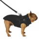 Product Canada Pooch Complete Control Harness Dog Winter Jacket - Black