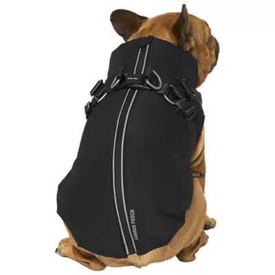 Product Canada Pooch Complete Control Harness Dog Winter Jacket - Black