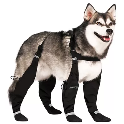Product Canada Pooch Suspender Dog Boots - Short