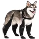 Product Canada Pooch Suspender Dog Boots - Short